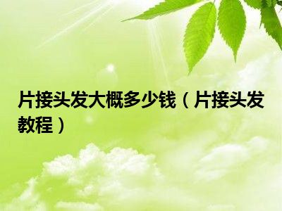 片接头发大概多少钱（片接头发教程）