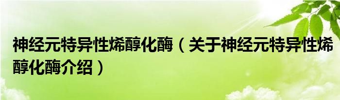  神经元特异性烯醇化酶（关于神经元特异性烯醇化酶介绍）