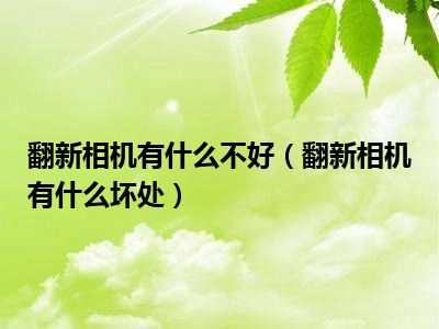 翻新相机有什么不好（翻新相机有什么坏处）