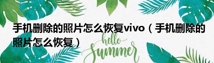 手机删除的照片怎么恢复vivo（手机删除的照片怎么恢复）