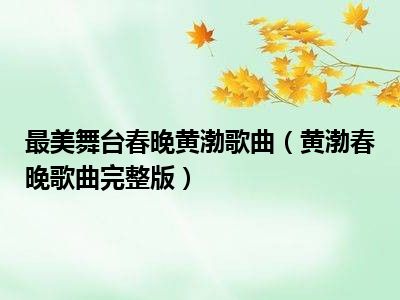 最美舞台春晚黄渤歌曲（黄渤春晚歌曲完整版）