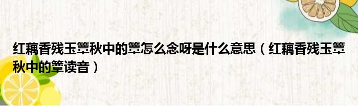 红藕香残玉簟秋中的簟怎么念呀是什么意思（红藕香残玉簟秋中的簟读音）