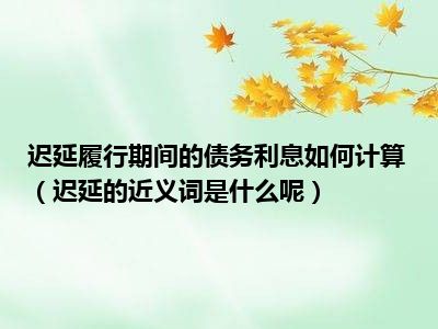 迟延履行期间的债务利息如何计算（迟延的近义词是什么呢）