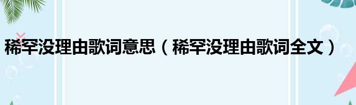 稀罕没理由歌词意思（稀罕没理由歌词全文）