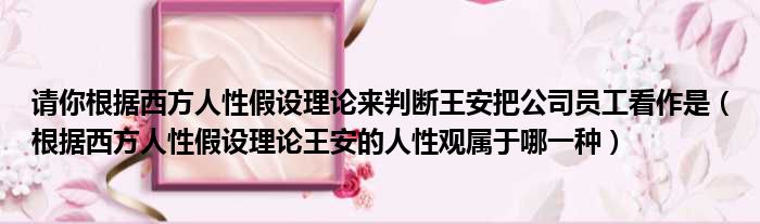 请你根据西方人性假设理论来判断王安把公司员工看作是（根据西方人性假设理论王安的人性观属于哪一种）