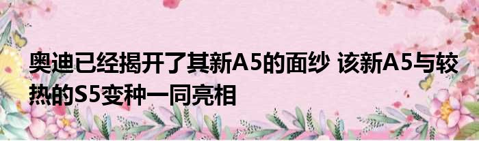 奥迪已经揭开了其新A5的面纱 该新A5与较热的S5变种一同亮相