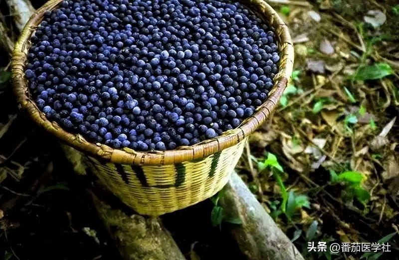 富含花青素的食材排行榜（富含花青素的食物排行）(图9)