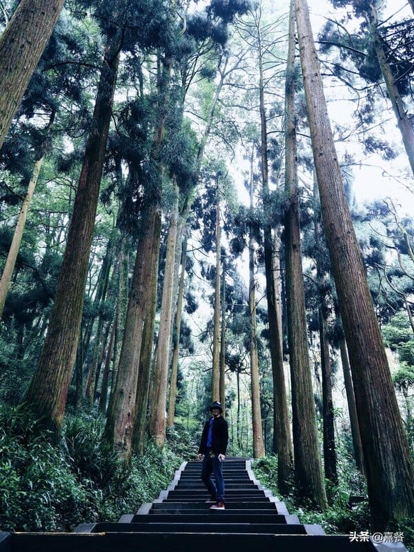 都江堰青城山海拔高度是多少米（青城山海拔多少米高）(图2)