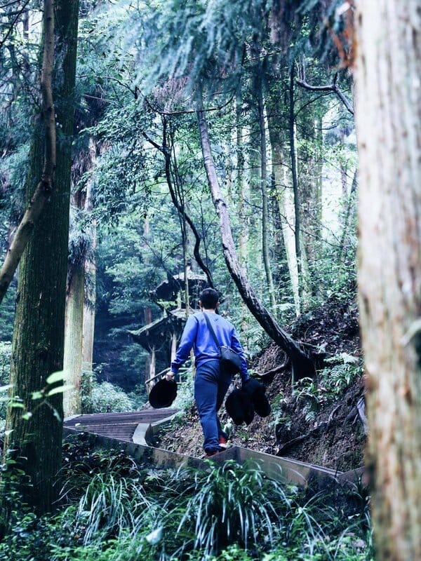 都江堰青城山海拔高度是多少米（青城山海拔多少米高）(图4)