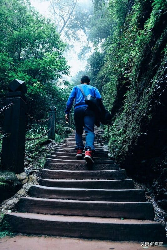 都江堰青城山海拔高度是多少米（青城山海拔多少米高）(图9)