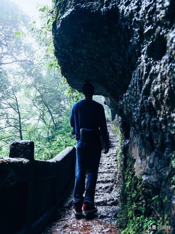 都江堰青城山海拔高度是多少米（青城山海拔多少米高）(图10)