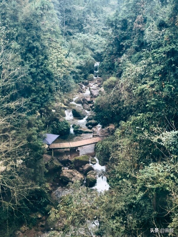 都江堰青城山海拔高度是多少米（青城山海拔多少米高）(图14)