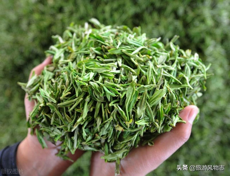 江西有名的茶叶品牌有哪些（江西茶叶品牌十大名茶图片）(图2)