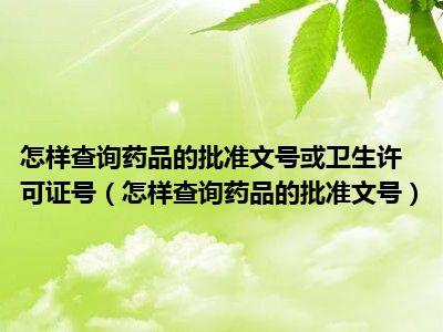 怎样查询药品的批准文号或卫生许可证号（怎样查询药品的批准文号）