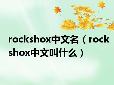 rockshox中文名（rockshox中文叫什么）