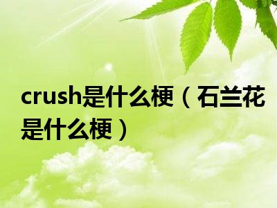 crush是什么梗（石兰花是什么梗）