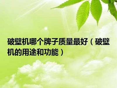 破壁机哪个牌子质量最好（破壁机的用途和功能）