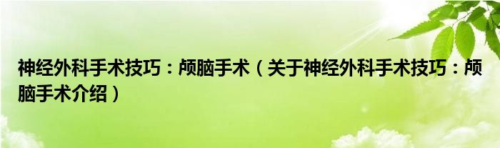  神经外科手术技巧：颅脑手术（关于神经外科手术技巧：颅脑手术介绍）