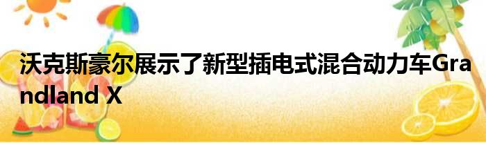 沃克斯豪尔展示了新型插电式混合动力车Grandland X