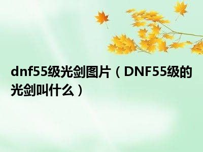 dnf55级光剑图片（DNF55级的光剑叫什么）