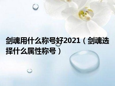 剑魂用什么称号好2021（剑魂选择什么属性称号）