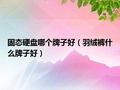 固态硬盘哪个牌子好（羽绒裤什么牌子好）