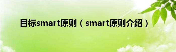 目标smart原则（smart原则介绍）