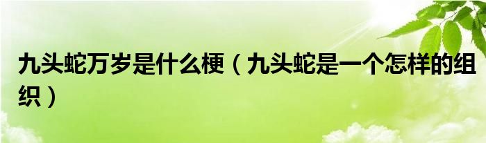 九头蛇万岁是什么梗（九头蛇是一个怎样的组织）