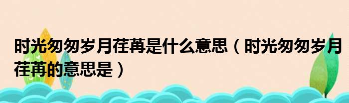 时光匆匆岁月荏苒是什么意思（时光匆匆岁月荏苒的意思是）