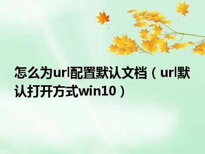 怎么为url配置默认文档（url默认打开方式win10）