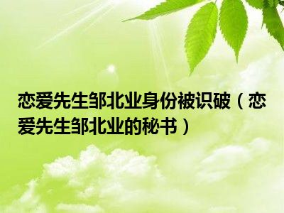 恋爱先生邹北业身份被识破（恋爱先生邹北业的秘书）