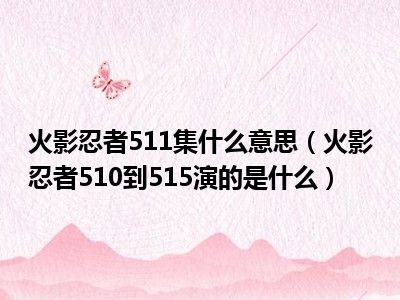 火影忍者511集什么意思（火影忍者510到515演的是什么）