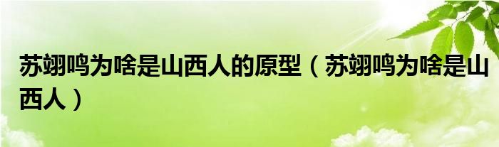  苏翊鸣为啥是山西人的原型（苏翊鸣为啥是山西人）