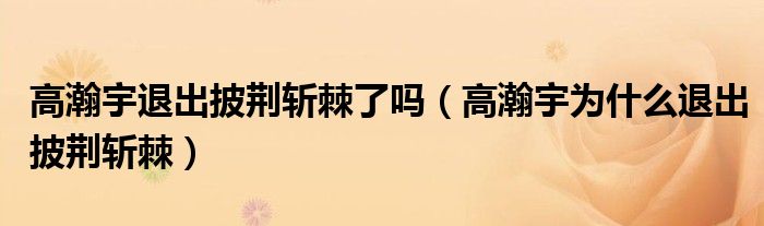  高瀚宇退出披荆斩棘了吗（高瀚宇为什么退出披荆斩棘）