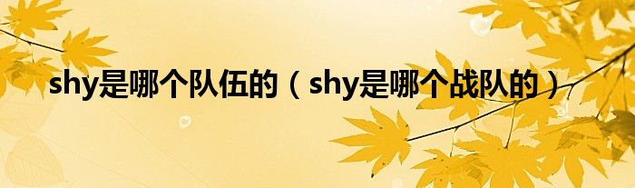  shy是哪个队伍的（shy是哪个战队的）