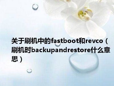 关于刷机中的fastboot和revco（刷机时backupandrestore什么意思）