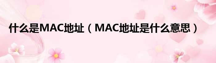 什么是MAC地址（MAC地址是什么意思）