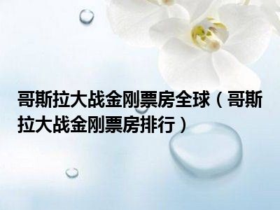 哥斯拉大战金刚票房全球（哥斯拉大战金刚票房排行）