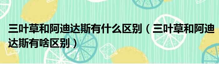 三叶草和阿迪达斯有什么区别（三叶草和阿迪达斯有啥区别）