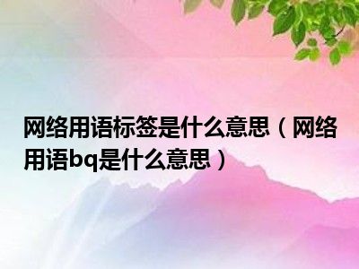 网络用语标签是什么意思（网络用语bq是什么意思）