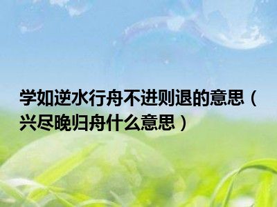 学如逆水行舟不进则退的意思（兴尽晚归舟什么意思）