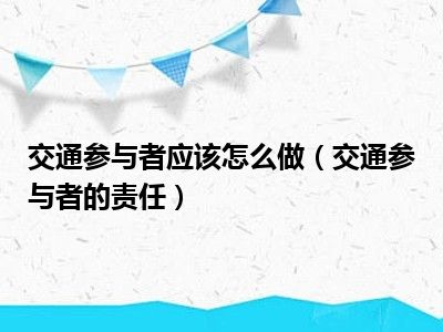 交通参与者应该怎么做（交通参与者的责任）