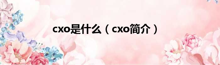 cxo是什么（cxo简介）