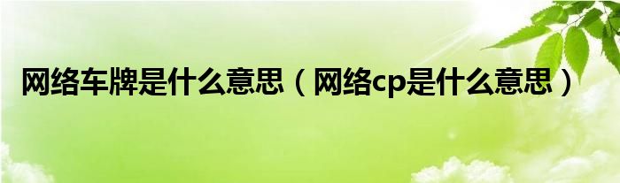 网络车牌是什么意思（网络cp是什么意思）