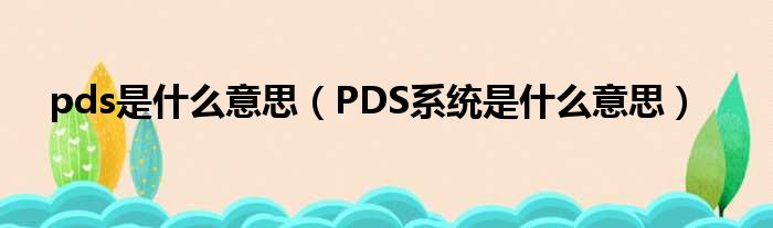 pds是什么意思（PDS系统是什么意思）