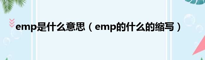 emp是什么意思（emp的什么的缩写）