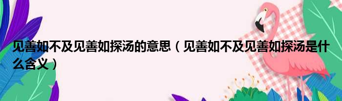 见善如不及见善如探汤的意思（见善如不及见善如探汤是什么含义）