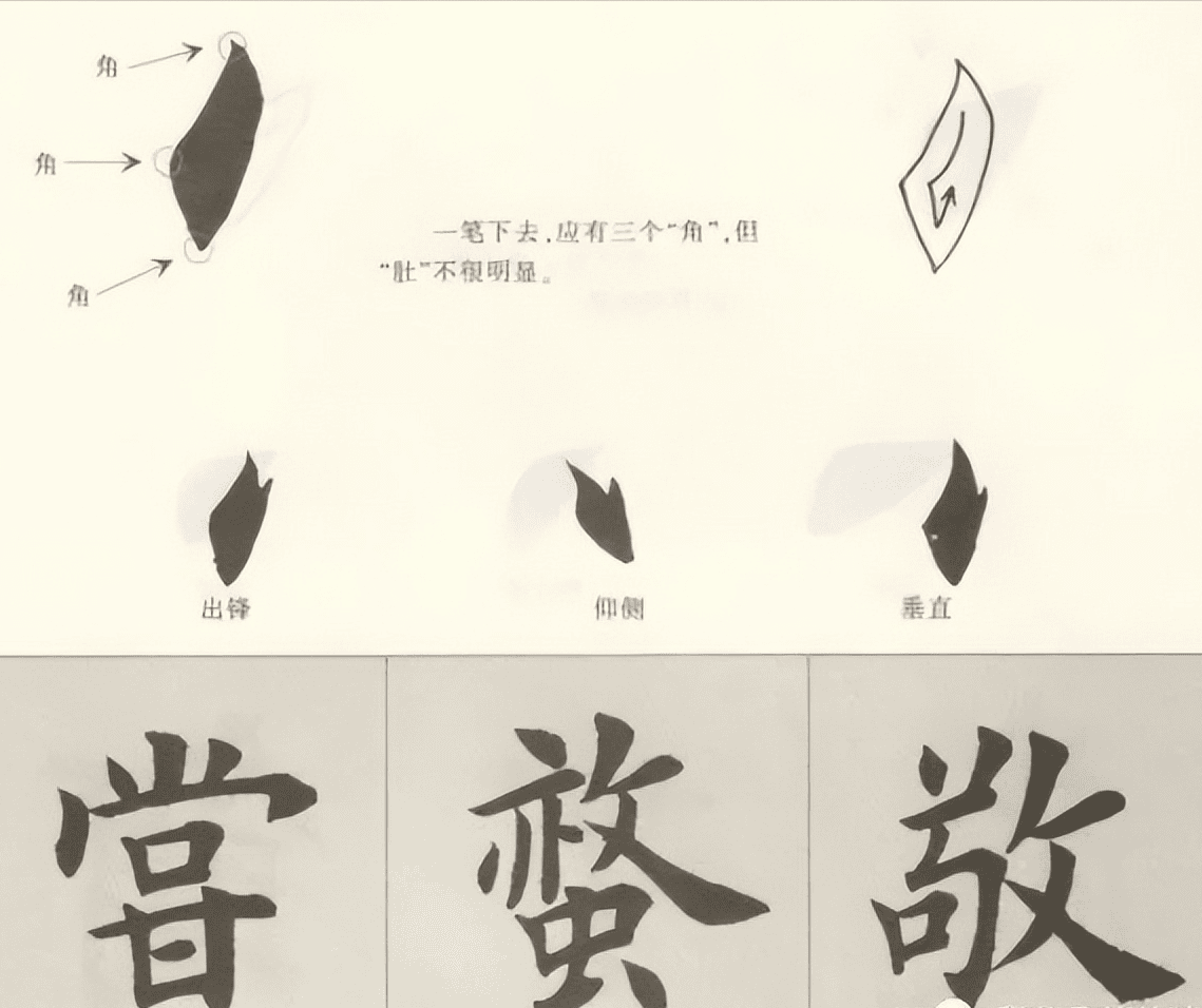 硬笔书法如何写好（怎样才能写一手漂亮的好字）(图3)