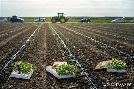 农业设施用地建厂房的程序（农业设施用地建厂房算违建吗）(图1)