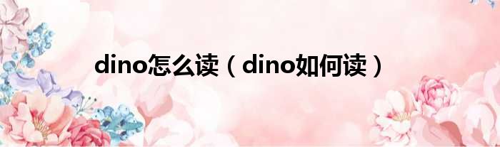 dino怎么读（dino如何读）